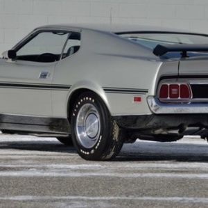 Meet your Posher, Michelle